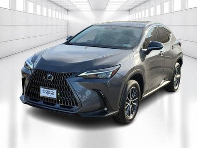 Certified 2025 Lexus NX 350 AWD w/ Cold Area Package