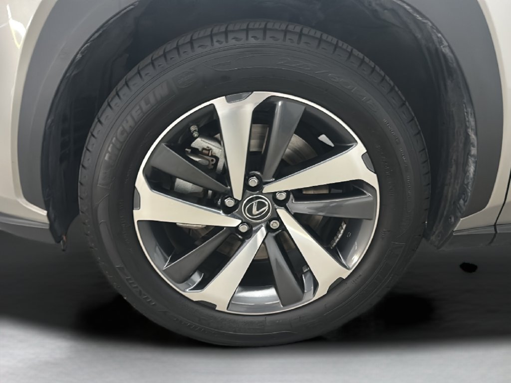 Used 2020 Lexus NX 300h AWD w/ Premium Package image 9