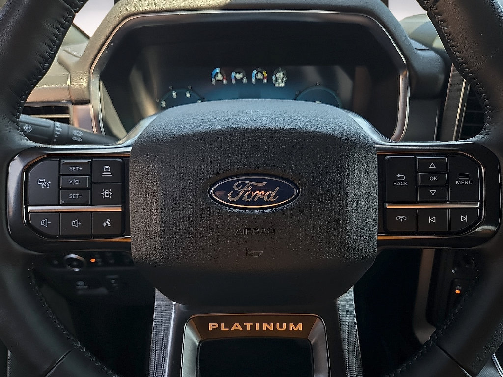 Used 2025 Ford F150 Platinum AWD/4WD image 19