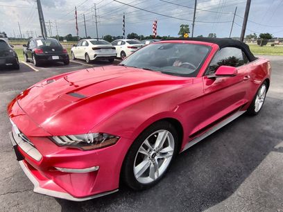 Used 2019 Ford Mustang Premium w/ Equipment Group 201A