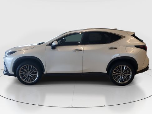 Used 2023 Lexus NX 350h AWD image 7