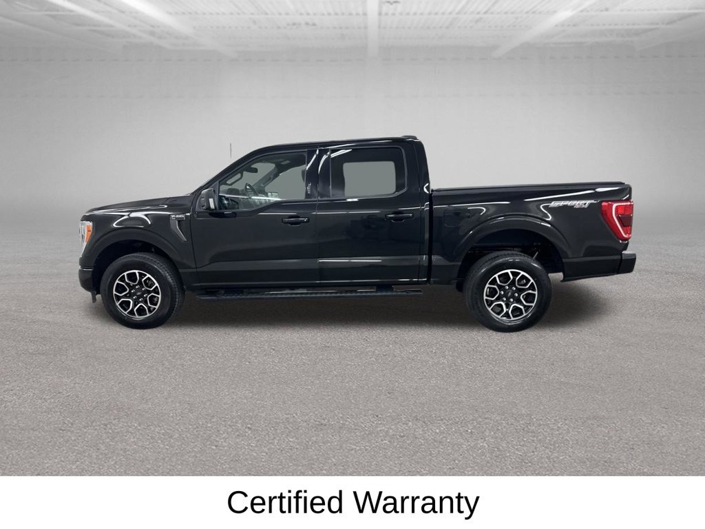 Used 2023 Ford F150 XLT w/ Equipment Group 302A High AWD/4WD image 9