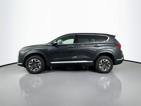 Used 2023 Hyundai Santa Fe Blue AWD/4WD image 4