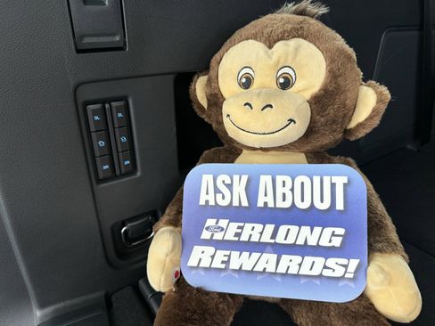 Used 2024 Ford Expedition Max Platinum image 9