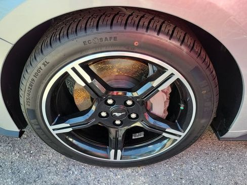 Used 2019 Ford Mustang GT Premium w/ Equipment Group 401A RWD image 13