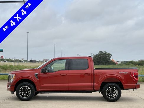 Used 2023 Ford F150 XLT w/ Equipment Group 302A High AWD/4WD image 3