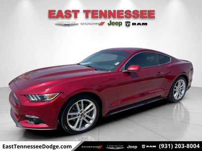 Used 2016 Ford Mustang Premium w/ Equipment Group 201A