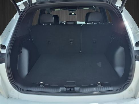 Used 2023 Ford Escape ST-Line w/ Equipment Group 301A image 10