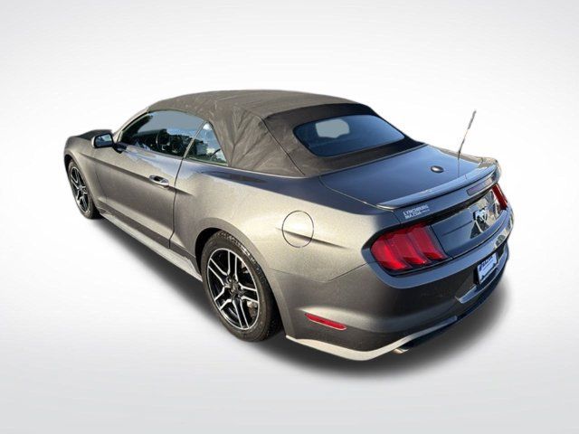 Used 2019 Ford Mustang Premium RWD image 3