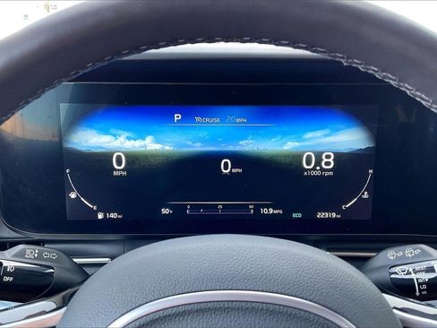 Certified 2024 Kia Carnival SX Prestige image 19