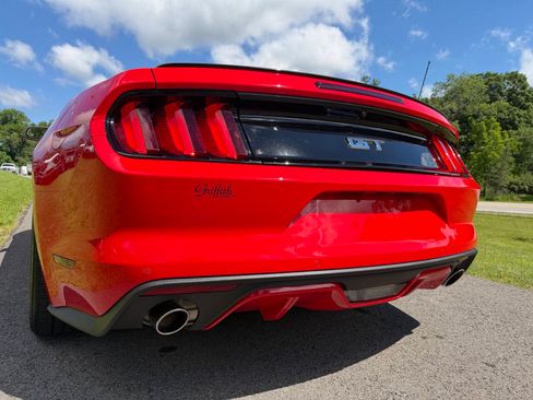 Used 2017 Ford Mustang GT Premium w/ Equipment Group 401A RWD image 14