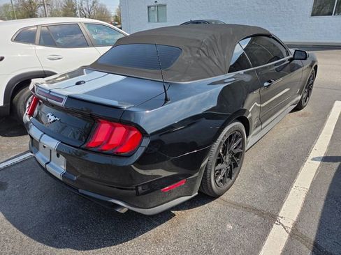 Used 2018 Ford Mustang Premium w/ Equipment Group 201A RWD image 5