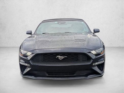 Used 2021 Ford Mustang Premium image 2