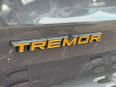 New 2025 Ford Expedition Tremor AWD/4WD image 21
