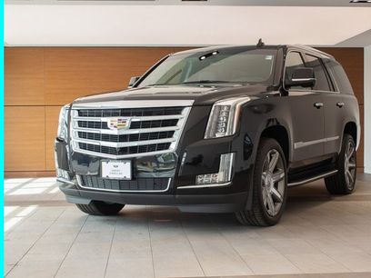 Used 2019 Cadillac Escalade Luxury