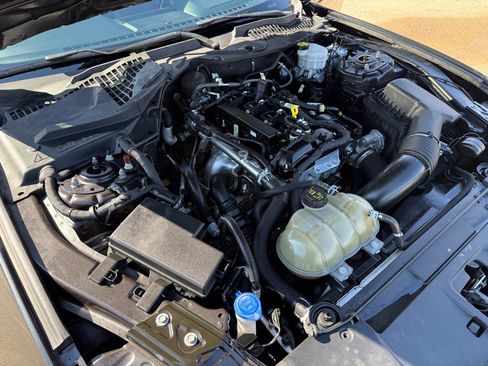 Used 2023 Ford Mustang Premium w/ Mustang Nite Pony Package image 27