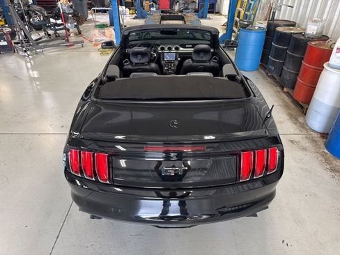 Used 2015 Ford Mustang GT Premium w/ 50 Years Appearance Package RWD image 13