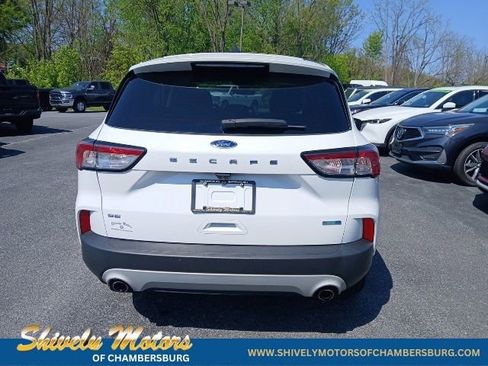 Used 2020 Ford Escape SE AWD/4WD image 5