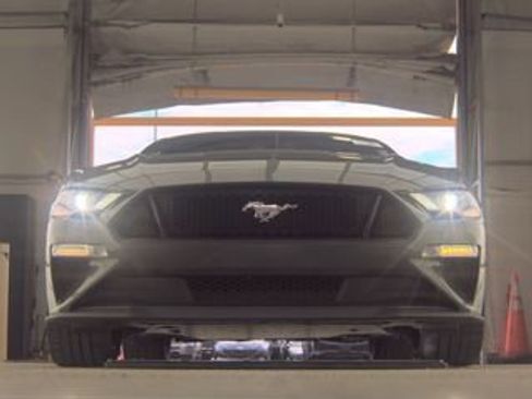 Used 2019 Ford Mustang GT Premium w/ GT Performance Package RWD image 2