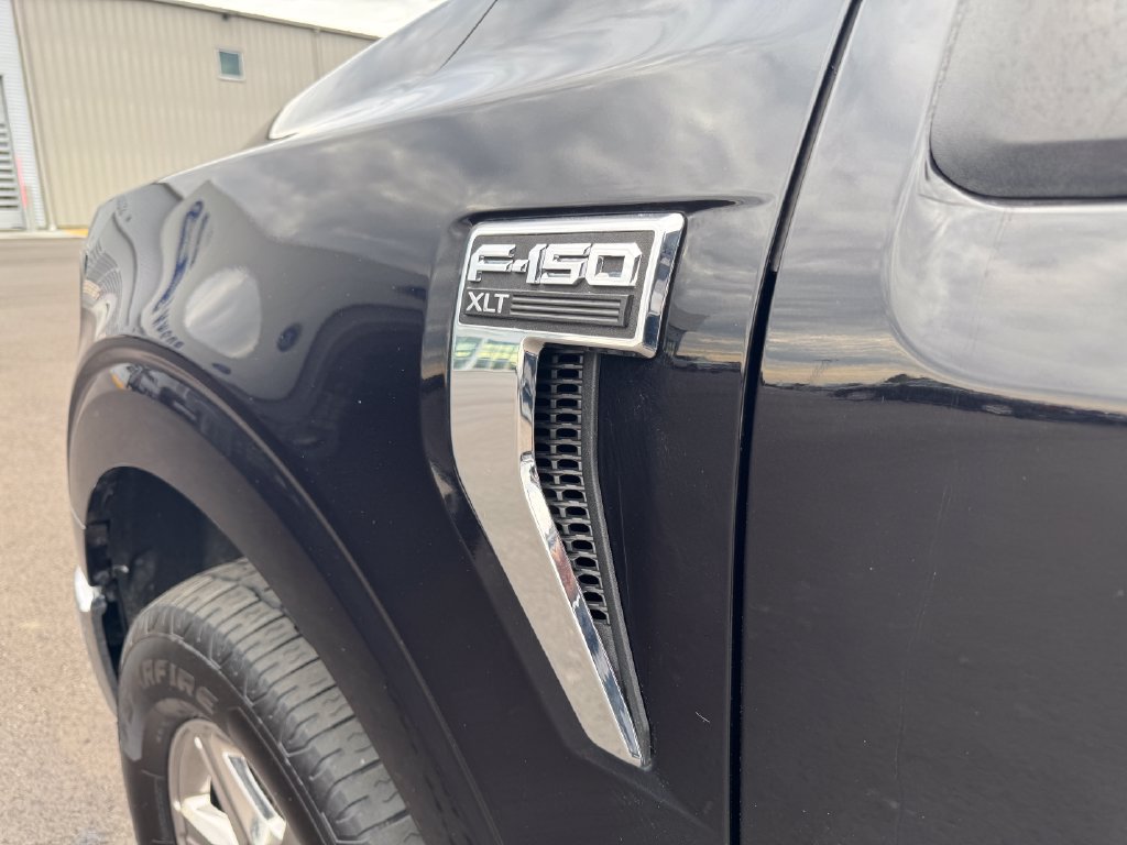 Used 2025 Ford F150 XLT w/ Equipment Group 301A Standard AWD/4WD image 17