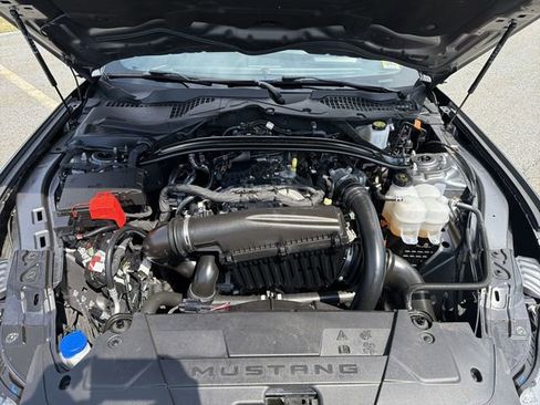 Used 2025 Ford Mustang Premium RWD image 31
