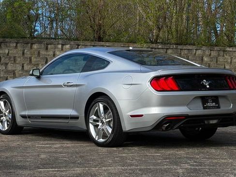 Used 2019 Ford Mustang Premium w/ Equipment Group 201A RWD image 5