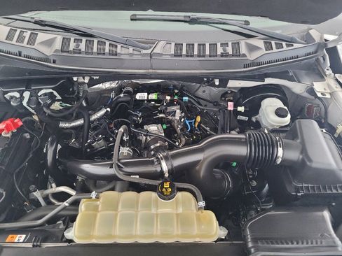 Used 2019 Ford F150 XLT w/ Equipment Group 302A Luxury RWD image 30