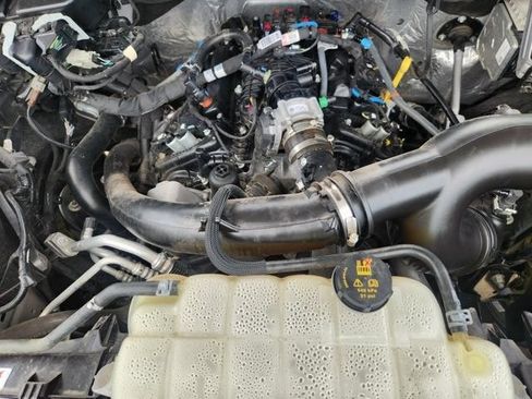 Used 2025 Ford F150 STX w/ Equipment Group 200A RWD image 32