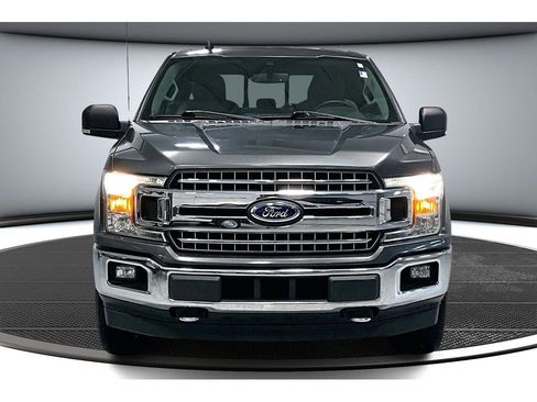 Used 2019 Ford F150 XLT w/ Equipment Group 302A Luxury image 4