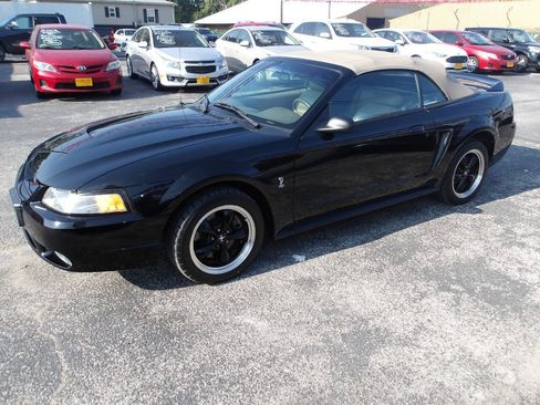 Used 1999 Ford Mustang Cobra RWD image 18