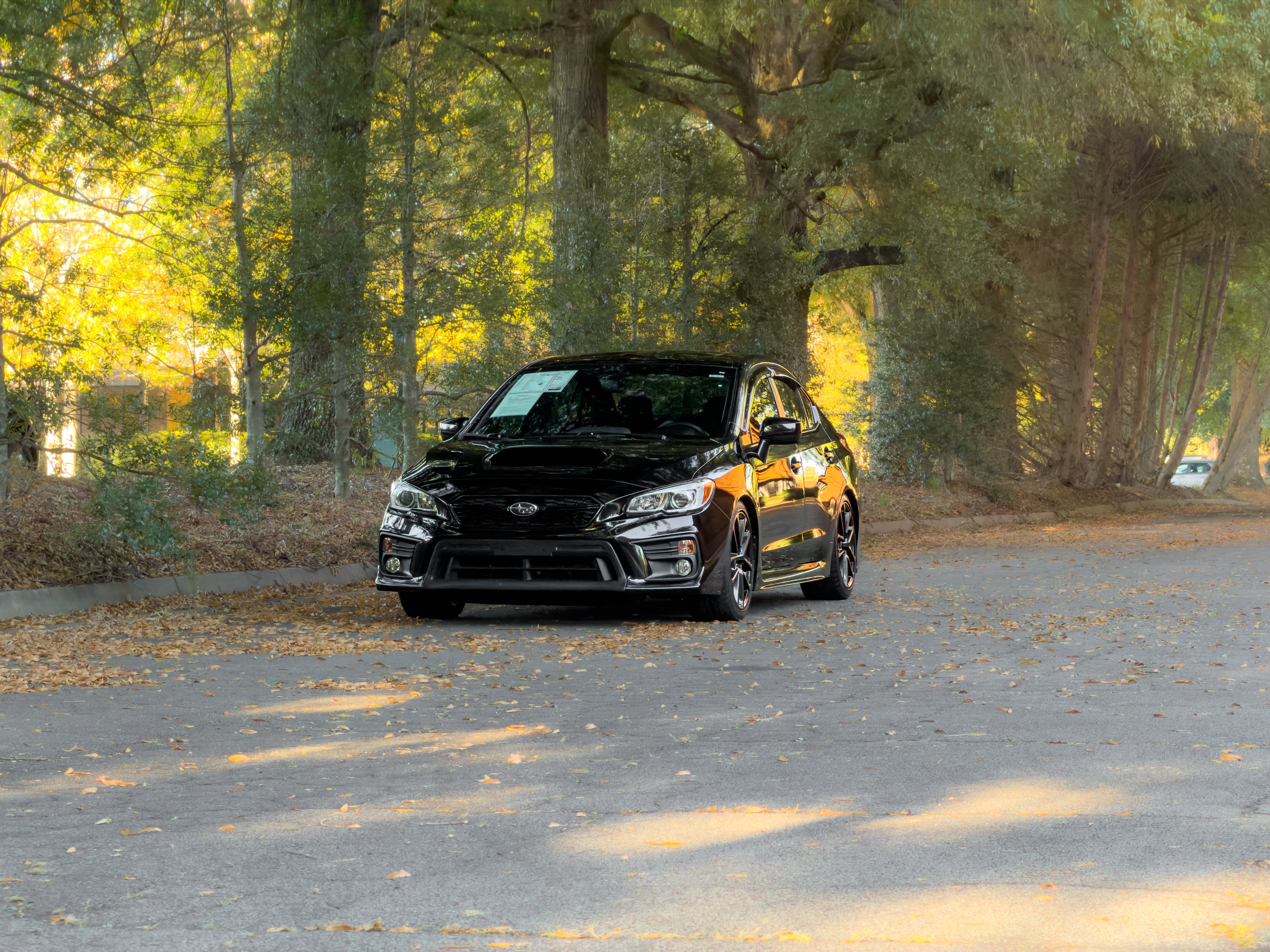 Used 2020 Subaru WRX Premium AWD/4WD image 42