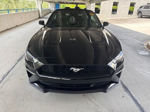 Used 2019 Ford Mustang Premium w/ Equipment Group 201A RWD image 15