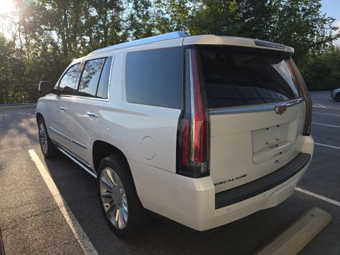 Used 2016 Cadillac Escalade Platinum AWD/4WD image 3