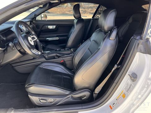 Used 2019 Ford Mustang GT Premium w/ Equipment Group 401A image 23