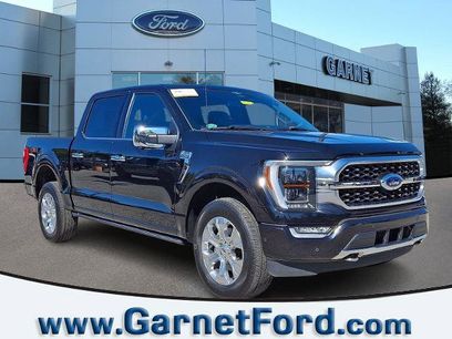 Certified 2023 Ford F150 Platinum w/ Equipment Group 701A High