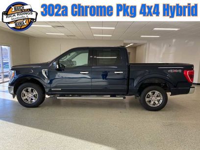 Used 2023 Ford F150 XLT w/ Equipment Group 302A High