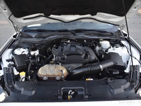 Used 2018 Ford Mustang Coupe w/ Equipment Group 101A RWD image 27