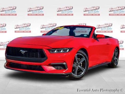 Used 2024 Ford Mustang Premium image 1