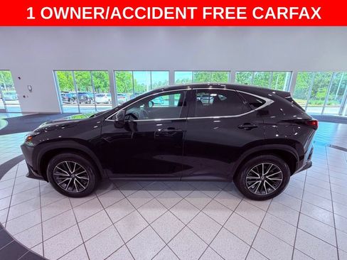 Certified 2025 Lexus NX 250 FWD w/ Accessory Package (Z1) image 5