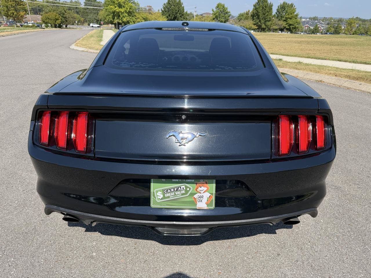 Used 2017 Ford Mustang Premium RWD image 5