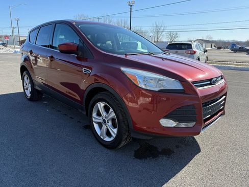 Used 2014 Ford Escape SE image 7