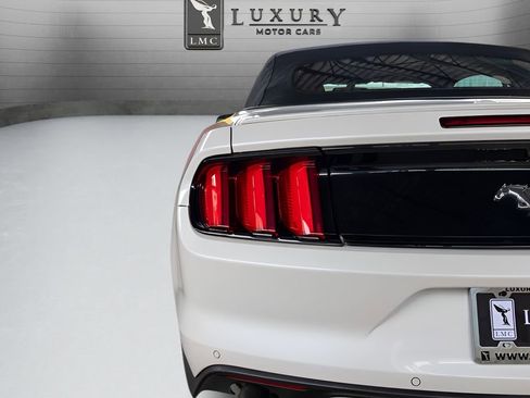 Used 2017 Ford Mustang Premium w/ Equipment Group 201A RWD image 16