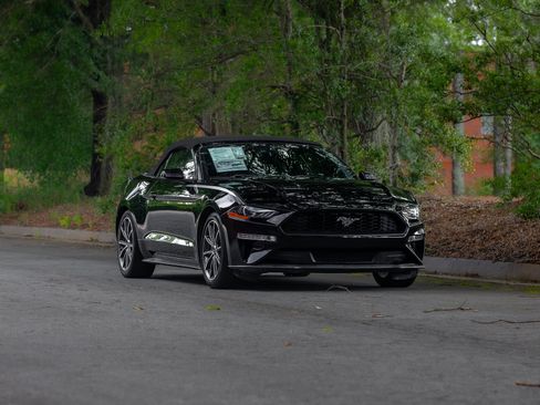 Used 2019 Ford Mustang Premium w/ Equipment Group 201A RWD image 44