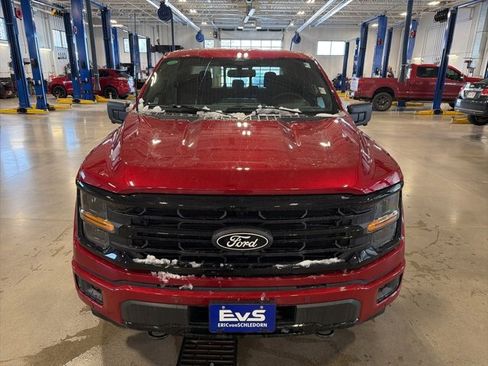 New 2025 Ford F150 XLT w/ Equipment Group 302A MID image 9