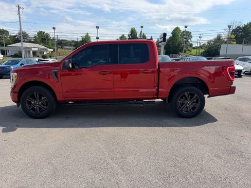 Used 2023 Ford F150 XLT w/ Equipment Group 302A High AWD/4WD image 10