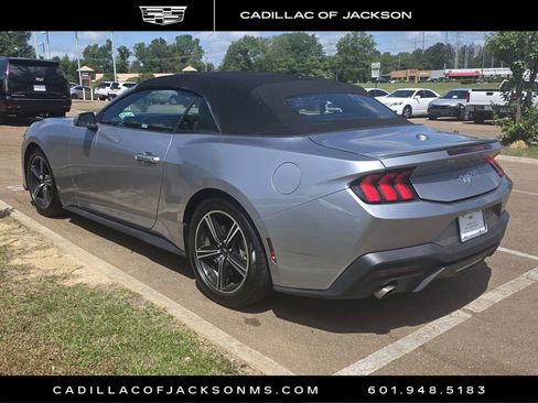 Used 2024 Ford Mustang Premium image 6