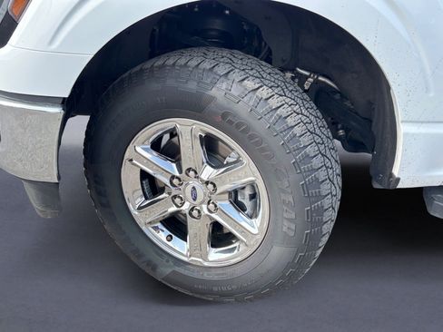 Used 2025 Ford F150 XLT w/ Equipment Group 301A Standard image 5