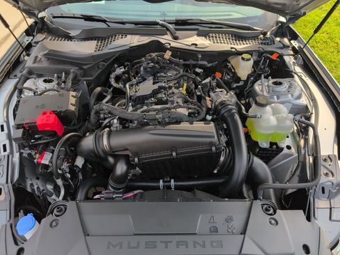 New 2026 Ford Mustang EcoBoost Nite Pony w/ Mustang Nite Pony Package image 33