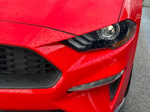 Used 2021 Ford Mustang EcoBoost image 11