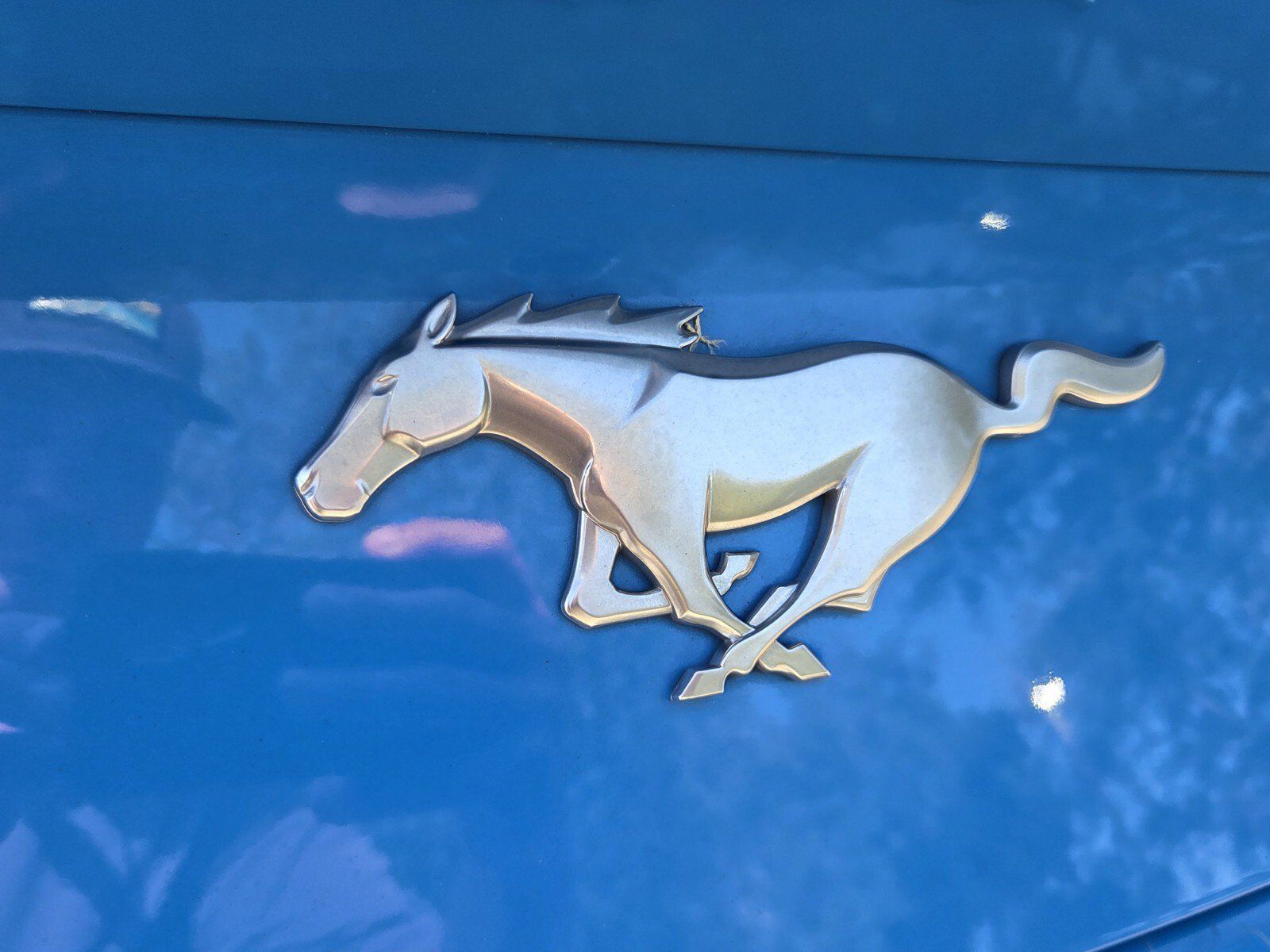 Used 2025 Ford Mustang Premium RWD image 17